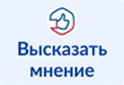 Высказать мнение госуслуги